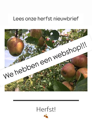 🍎Lees onze nieuwbrief via de link in bio én bezoek onze NIEUWE WEBSHOP via de link in bio! 🍎