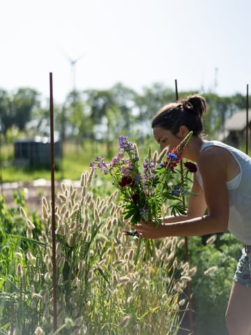🌸 DE PLUKTUIN IS OPEN! 🌸
De openingstijden voor plukseizoen 2026:
🗓️ woensdag: 17:00 - 20:00 uur
🗓️ zondag: 09:00 - 12:00 uur
🌾 Omdat we met de natuur meebewegen, kunnen er soms wijzigingen zijn. Check de stories voor updates.

Meer dan bloemen alleen… Welkom om gewoon te komen ont-moeten, de inspirerende plek te ervaren, te lezen, muziek te maken, … Mijn zelfgemaakte bestuivende kombucha is ook te koop.🥂✨

💐 Bloemen nodig buiten de openingsuren? Past een ander moment je beter? Stuur me gerust een bericht of bel me om te vragen of je langs mag komen. Daarnaast kan ik ook bloemen voor je klaarknippen of op bestelling een kant-en-klaar boeket of feestbloemen voor je samenstellen.

Handig:
Breng een emmer of vaas mee om je bloemen in te vervoeren 🪣
Een schaar kun je van mij lenen ✂️
Betalen kan cash 👑 of via Payconiq/Bancontact of met een Stuif-kadobon of Diests Cadoosje

Tot snel in de tuin! 📍 Wolvenstraat 402 (op de grens met Assent, niet in het centrum van Diest)