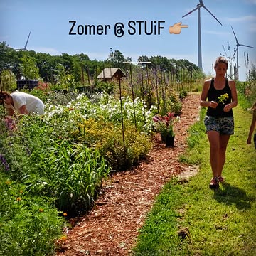 Zomer @ STUiF

De tuin is deze zomer open op woensdagavond van 17 tot 20 u en op zondagvoormiddag van 9 tot 12 u. Kom bloemen plukken, proef een huisgemaakte Stuif kombucha en geniet van al het moois dat groeit en bloeit.

Enkele bijzondere momenten deze zomer vind je in de slides. Inschrijven kan via een bericht.

Heb je een idee voor een workshop of activiteit die past bij STUiF? Stuur me gerust een berichtje. Ik sta open voor nieuwe ideeën en fijne samenwerkingen.

Ik kijk ernaar uit om jullie deze zomer te ontvangen!

Gretige groetjes 👋🏼