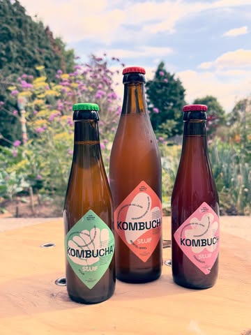 Ik krijg regelmatig de vraag: ‘Kan ik rechtstreeks bij jou terecht of waar kan ik je kombucha kopen?’ Daarom deel ik het graag nog eens.

Op het overzicht (swipe 👉🏼) zie je alle huidige verkooppunten.

Koop je liever rechtstreeks bij de bron? Graag!
Stuur me een bericht, bel of mail me, dan spreken we een moment af waarop je hier thuis bij @_stuif_ (Diest) kan langskomen.
Of kom langs tijdens de openingsuren van de pluktuin: woensdag 17-20u & zondag 9-12u.

Smaken:
* puur
* framboos
* wortel-appel

Formaten:
* 25 cl
* 50 cl

📞 0497138188
📨 vandijck_greet@hotmail.com

Tot binnenkort!
