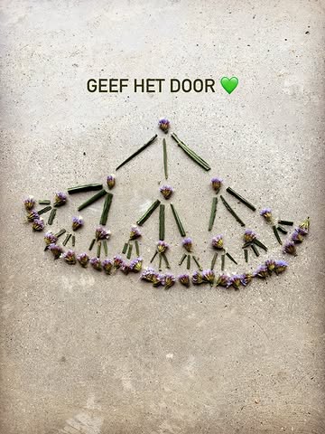 Ik schreef eerder dat de pluktuin gesloten is omdat ik aan het vieren ben. En dat klopt nog steeds. 🥹✨

🐣 Kuikens geboren
✨ 1000+ volgers
🌻 Mijn verjaardag
🌑 Nieuwe maan & zonsverduistering
🌠 Piek van de vallende sterren

En dan ook nog eens de nieuwe maan in Leeuw. 🦁

Een bijzonder moment om stil te staan bij wat er is, het leven te vieren en te voelen wat er mag groeien. Misschien wel een kleine reset. ✨

Dat is Stuif voor mij:
nieuw leven.
groei.
beweging.
bestuiven.
doorgeven.
En vooral: samen.

Want bloei ontstaat niet alleen. 🌻🐝
Wat we elkaar meegeven, kan verder groeien, soms zonder dat we het zelf doorhebben.

Pay it forward. ✨