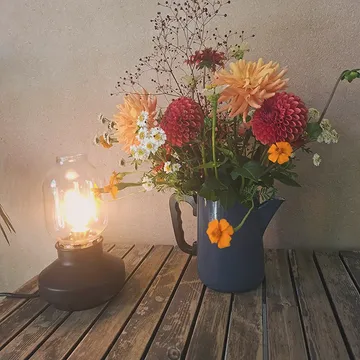 Dankbaarheid.

Dat is wat ik voel na een dag met heerlijke vrouwen, die met open hart en dicht bij zichzelf deelnamen aan het dagretreat vandaag.

Zachtheid. Zomerse energie kanaliseren. Voelen wat er leeft. En gedragenheid, allemaal samen. ✨️💛

Het is en blijft magie als vrouwen elkaar vinden en verbinden. Erkenning en gelijkgestemdheid geven zoveel connectie. En ik had de eer dat te mogen ondersteunen. Waanzinnig, altijd weer.

Doen we dit opnieuw?

Zeker. 🔥

😘

Met dank aan de lieve Greet van @_stuif_ 🙏

#retreat #vrouwen #gedragenheid #cyclischleven #verbinding