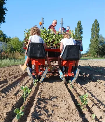Met kleine handen en een groot hart zetten onze twee jongste kinderen vandaag verschillende kolen uit. 🌱

In alle rust, met liefde voor de aarde en respect voor het ritme van de natuur, geven we elk plantje een warme start.

Zo groeien niet alleen onze groenten, maar ook de verbondenheid met het land waarop we mogen werken. 💚

#biodymamisch #biofarm #kolen #korteketen