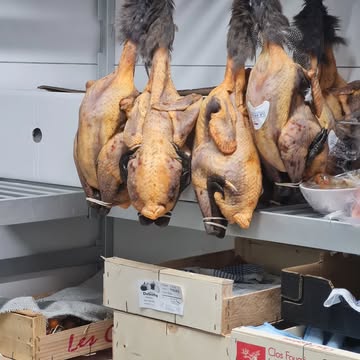 Magnifieke Pintade de Bresse geserveerd "en Portefeuille" gevuld met de foie van de parelhoen en groene vijgen.