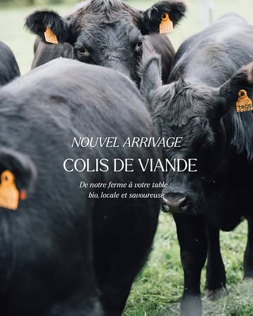 Bonne nouvelle : un nouvel arrivage de viande est prévu à partir du 30 septembre.
Black Angus certifié bio, élevé en plein air dans notre pré-verger, nourri en autonomie fourragère.

Trois colis disponibles :

🥩 Le Colis Saveur
🥩 Le Master Angus de Saison
🥩 Le Colis Famille de Saison

Vous êtes à la recherche de nos pièces prestige ? Achetez les en direct chez notre éleveuse Astrid le jour de votre collecte à la ferme pour sélectionner vos coups de cœur ! Premier arrivé, premier servi.

📦 Commande via le lien en bio
📍 Enlèvement dès le 30 septembre à la Petite Ferme, Domaine de Graux (Entrée via Rue du Bois)
