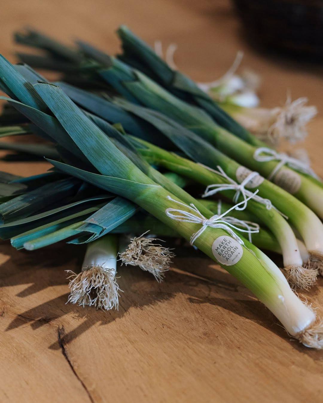 Notre dernier cadeau vient du maraîchage 🥬