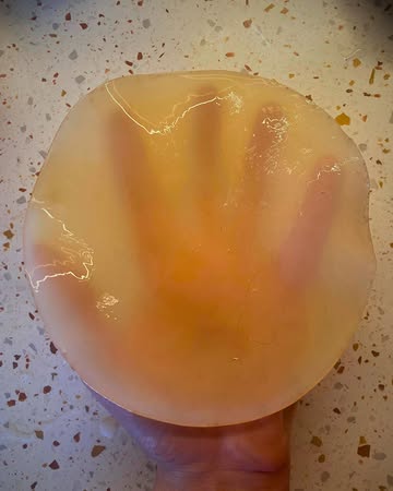 Happy SCOBY 😍

#kombuchas #scoby #fermentation