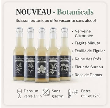 Le sans alcool ne doit plus être une punition.

Aujourd’hui, une vraie alternative gastronomique arrive chez Rouge Passion: botanicals.

Pas un soda.
Pas un jus.
Pas une limonade.

Une boisson botanique effervescente,
complexe,
précise,
pensée comme un vin.

Botanicals est élaborée à partir d’infusions végétales subtiles et originales, des Plantes Aromatiques et Médicinales soigneusement sélectionnées pour leurs saveurs envoutantes:

🌿 Verveine citronnée
🌸 Fleur de sureau
🌹 Rose de Damas
🍃 Feuille de figuier
🌱 Tagéte Minuta
🌼 Reine des Prés

À servir dans un verre à vin.
Entre 6 et 12°C.
Sans glaçon.
Pour sublimer l'acidité et les arômes botaniques.

Pour :
– les clients qui conduisent
– les femmes enceintes
– ceux qui font une pause
– ou simplement ceux qui veulent autre chose

Les chefs adorent.
Les sommeliers sont surpris.
Les clients remercient.

C’est disponible dès maintenant.

Tu veux goûter ?
Envoie-moi un message ✍️

#DrinkDifferent
@bekombucha