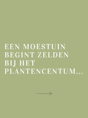 Een moestuin begint niet bij het plantencentrum.
Ze begint met een idee. Met het verlangen om zelf te telen en te weten waar je voeding vandaan komt.

Maar wie ooit een tuin had, weet: zonder plan wordt het al snel improviseren.

In deze cursus leer je hoe je je tuin opbouwt volgens een doordacht jaarritme: met continue oogst, een bodem die gevoed wordt en voedt en manieren om overvloed te bewaren voor later.

Mogelijks nog belangrijker: hoe werken met de aarde ook de geest tot vertraging kan brengen in een wereld die steeds sneller gaat.

Meer info en reserveringen via onze link in bio 🛎️