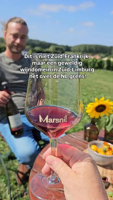 Met zonnig weer in aantocht is dit het perfecte uitje voor wijnliefhebbers! Op 2,5 uur rijden vanaf Utrecht of Rotterdam vind je @domein_marsnil.

Sla op voor je to-go list deze zomer 🙌

Een prachtige wijngaard, restaurant en B&B gerund door twee broers en hun moeder. Heerlijke wijnen zoals Riesling, Gewürztraminer, Pinot Noir en meer, lokale producten en een fijne, dromerige omgeving.

Je hoeft dus zéker niet helemaal naar Zuid-Frankrijk te rijden, ook dicht bij huis vind je de mooiste wijndomeinen 🍷👌

#wijngaard #zuidlimburg #wijntjeerbij #wijnroutes