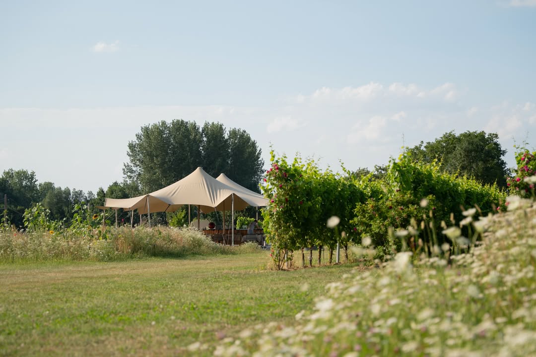 Onze zomerhit blijft scoren en heeft nog enkele vrije plaatsen voor ons wijngaarddiner op donderdagavond!

Geniet van een heerlijke avond tussen de wijnranken, met een smaakvol diner en de unieke sfeer van de zomer op het wijndomein.

📅 Reserveer snel jouw plekje 😉

Wij kijken ernaar uit om jullie te verwelkomen! 🍷