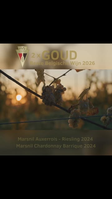 Dubbel goud voor Domein Marsnil. 🥇🍷
Onze Auxerrois–Riesling 2024 en Chardonnay Barrique 2024 wonnen goud bij Beste Belgische Wijn.

Een mooie bekroning voor een wijn die ook het resultaat is van vele helpende handen en gezellige wijnplukmomenten. Dankjewel aan iedereen die daaraan mee bijdraagt. 🍇

Je kan deze wijnen zelf komen proeven tijdens onze Oogstfeesten op zondag 27 september, van 13u tot 18u.