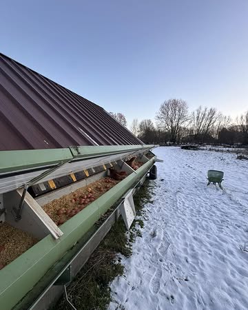 Bonne année 2026 à tous et toutes 🥳

📈 Pour la première fois depuis l’achat du poulailler mobile et donc la vente d’œufs en 2021 ( oui déjà 5 ans ! ) , nous avons décidé d’augmenter légèrement le tarif de nos oeufs 🥚 ! Vous pouvez voir cette légère augmentation au distributeur ou en venant chercher les œufs directement à la ferme. Ne vous en faites pas , le prix reste toujours très abordable 😊

🍝 Nous avons également augmenté le prix des pâtes vu qu’elles sont réalisés avec nos œufs et notre blé 😋

Distributeur :
📍Rue Armand Bury 68 Gozée
📍Rue de la roquette 23 Ragnies

Merci à vous pour votre confiance ces 5 années et on espère que cela va continuer !🤝

🍖 : Aucune augmentation sur le tarif de nos viande pour l’instant ❗️

Loupez pas le Coch’ ✅