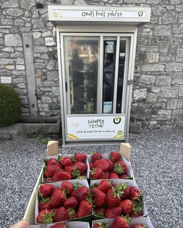 Les dernières fraises de l’année 🥹

Merci à tous pour votre fidélité et vos retours sur les fraises 🤝

J’espère qu’elle vous auront autant plus à vous qu’à moi 🫶 🍓

Merci à la ferme de la Vaucelle 👌