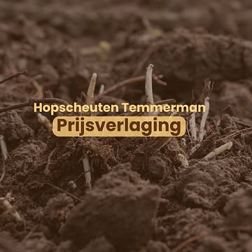 Hopscheuten, puur en vers van het veld - nu aan een lagere prijs.

Kort seizoen, fijne smaak.
Nu het perfecte moment om te bestellen en te proeven van deze unieke delicatesse.

Bestellen kan via onze site: https://www.hopscheutentemmerman.be/bestel-online-restaurants/