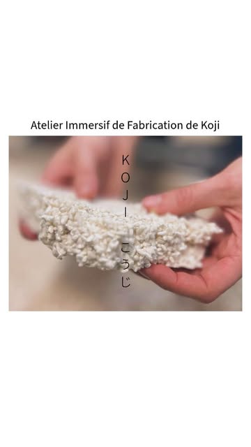 *English version in comment

Atelier Immersif de Fabrication de Koji

Apprenez à fabriquer votre propre koji de riz BIO dans un atelier immersif de 3 jours et maîtrisez l’art de la fermentation japonaise, étape par étape.

📅 Prochaines sessions :

1, 2, 3 avril

29, 30 avril et 1er mai

3, 4, 5 juin

Horaires :

Jour 1 - Mardi (10h00 - 15h00)

Égouttage du riz trempé (mizu-kiri)

Cuisson à la vapeur avec panier en bambou (seiro)

Ensemencement du riz avec les spores de koji (tane-kiri)

Mise en incubation pour maintenir la température idéale (hikikomi)

Jour 2 - Mercredi (8h30 - 11h00 & 21h00 - 22h30, suivi en soirée pour ceux qui le peuvent)

Transfert du koji vers des bacs plus plats pour favoriser sa fermentation (mori)

Contrôle de la température et de l’humidité du koji pour assurer son bon développement (naka shigoto)

Dégustation incluse : Explorez les différentes saveurs du koji à travers un repas préparé ensemble

Explication des différentes souches de moisissures du koji, avec un support pédagogique fourni

Jour 3 - Jeudi (11h00 - 15h00)

Dernier soin et ajustement du koji (shimai shigoto)

Récolte du koji finalisé (de-koji)

Présentation de recettes utilisant le koji : miso, shio koji, sauce soja, et bien plus

💰 Tarif : 300€ TVAC
👥 Places limitées : Maximum 3 participants par session

🎒 À prévoir : Un tablier et trois jours dédiés à l’apprentissage

Ce que vous allez acquérir :
✔️ Tous les secrets du koji traditionnel japonais
✔️ Une expérience pratique avec du matériel professionnel
✔️ Une dégustation incluse pour explorer les saveurs du koji
✔️ Un support pédagogique sur les différentes souches de koji
✔️ Comment utiliser le koji dans différentes recettes : miso, shio koji, sauce soja...
✔️ 1 kg de koji fait par vous-même à ramener chez vous

Formation encadrée par un artisan expert en koji.

📩 Infos & inscription : info@nuumiso.be

Places limitées – Réservez dès maintenant et plongez dans l’univers du koji.

#Koji
#Fermentation
#KojiMaking
#KojiFerme