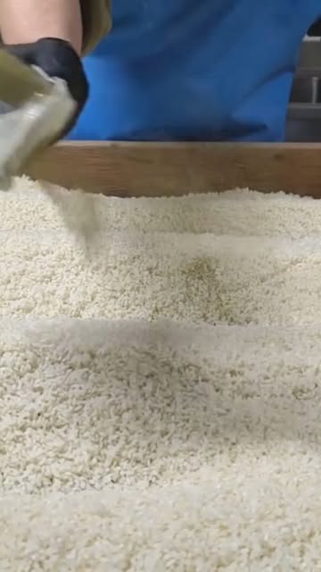 The sacred start.
​Koji inoculation in progress.
Now begins three days of dedicated cultivation.
Watching, waiting, and breathing with the mold.
#Koji #miso #Fermentation #champignons #Brussels
