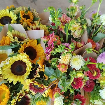 De dahlia's zijn er! Het hele weekend boeketjes dahlia's en zonnebloemen te koop in het schuurtje ❤️🌻❤️🌸