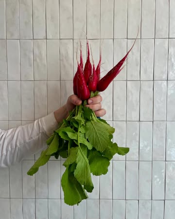 During the Week of the Short Chain, we take a moment to reflect on something that feels natural to us: working with what grows nearby, made and grown by people we know.

We believe in cooking with ingredients that are produced with care and knowledge, in fields and on farms not far from here. Not just for the flavour, but because each product carries a story – of craft, season, and origin.

It’s how we try to work every day: directly, transparently, and with respect for nature and for the people behind the produce.

-

Tijdens de Week van de Korte Keten staan we graag stil bij iets wat voor ons vanzelfsprekend is: werken met wat dichtbij groeit, gemaakt en geteeld wordt door mensen die we kennen.

We geloven in koken met ingrediënten die met zorg en kennis zijn geproduceerd, op velden en boerderijen niet ver van hier. Niet alleen omwille van de smaak, maar omdat er een verhaal achter zit – van vakmanschap, seizoen en herkomst.

Het is hoe we elke dag proberen te werken. Rechtstreeks, transparant, en met respect voor wat de natuur en de streek ons brengt.