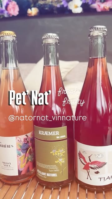 #petnat
#naturalwine #vinnature
#import #belgique
Contact us : @natornot_vinnature