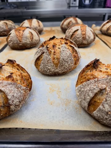 Le rituel du pain

Chaque jour, Nicolas confectionne avec amour notre pain au levain.
De l’eau, de la farine, un mélange de graines maison, du sel et du temps, rien de plus rien de moins.
En voici les étapes

Jour 1: 9h30:
Réalisation du rafraîchi, pesée et trempage des graines dans l’eau pour la pâte du jour suivant.
Nourrissage du levain

Jour 1: 9h35:
Pétrissage de la pâte et mise en fermentation à température ambiante puis plus tard dans la journée en chambre froide

Jour 2: 9h30/12h selon le temps:
Remise à température de la pâte

Jour 2: 15h:
Façonnage des pâtons

Jour 2: 15h
Mise en bannetons de la pâte pour la dernière levée

Jour 2: 17h
Scarification des pâtons et mise au four

Jour 2: 17:30
C’est prêt!