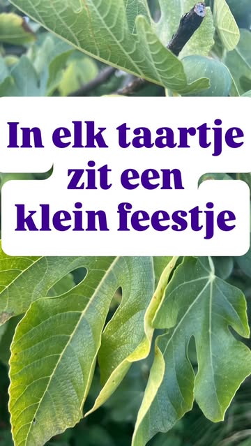 🤛🏻 Yes. We leven nog.
🍪 En wat meer is.
🕛. Morgen een nieuwe koek…
#vijg #walnoot # lokaal #bakkerijburez #oudenaarde