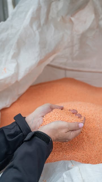 Vous êtes-vous déjà demandé ce qui se cache derrière un paquet de lentilles corail ? 👀🧡

Aujourd’hui, on vous emmène dans les coulisses de notre usine pour suivre nos lentilles corail et découvrir ce qui se passe avant qu’elles n’arrivent dans votre assiette 🇧🇪🌱
***
Heb je je ooit afgevraagd wat er achter een pakje rode linzen schuilgaat? 👀🧡

Vandaag nemen we je mee achter de schermen van onze fabriek en ontdekken we samen wat er gebeurt voordat onze rode linzen op je bord belanden 🇧🇪🌱

#GrainesDeCurieux #LentillesCorail #Belgique #CircuitCourt #AgricultureBelge