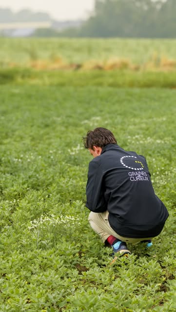 Graines de Curieux dans @waldoradotv sur @rtltvi 📺🌱

À l’occasion de la @foiredelibramont , l’émission Waldorado s’est arrêtée au @tomorrowfood_org Market, un espace qui rassemble des acteurs belges engagés pour une alimentation plus locale et plus durable 🇧🇪

L’occasion pour Isabelle de raconter un petit bout de notre histoire : 10 ans de Graines de Curieux, l’envie de développer des alternatives végétales locales et ce pari un peu fou de faire pousser du quinoa en Belgique 🌾

Merci à @rtlplay , @foiredelibramont et @tomorrowfood_org pour cette belle mise en lumière 💚

🎥 On vous partage ici un extrait, mais on vous conseille d’aller découvrir le reportage complet de Waldorado sur RTL play !
***
Graines de Curieux in Waldorado op RTL TVI 📺🌱

Naar aanleiding van de Beurs van Libramont bracht het programma Waldorado een bezoek aan de TomorrowFood Market, een plek waar Belgische spelers samenkomen die zich inzetten voor meer lokale en duurzame voeding 🇧🇪

Een mooie gelegenheid voor Isabelle om een stukje van ons verhaal te vertellen: 10 jaar Graines de Curieux, de ambitie om lokale plantaardige alternatieven te ontwikkelen en die ietwat gekke uitdaging om quinoa in België te telen 🌾

Bedankt aan @rtlplay, @foiredelibramont en @tomorrowfood_org voor deze mooie aandacht 💚

🎥 We delen hier alvast een fragment, maar we raden je zeker aan om de volledige reportage van Waldorado op RTL play te bekijken!

#graines #localbrands #biofood #belgianbrand #madeinbelgium