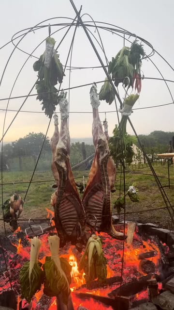 A S A D O

Sapiens X Domaine de hurlevent

Le feu impose son rythme.
Pas celui de la vitesse ou de la précision absolue.
Celui du temps, de la braise, de la fumée qui s’installe lentement.

Des pièces suspendues au-dessus des flammes, des légumes noircis par la cendre, des herbes encore fraîches malgré la chaleur.
Une cuisine brute, instinctive, où le feu fait une partie du travail à notre place.

#asado #sapiens #wallonie #wildcooking