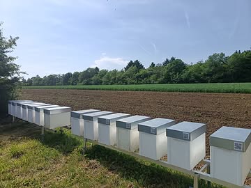 Chers apiculteurs, chers partenaires, 🐝

Dans un souci de transparence, nous souhaitons vous informer de l’évolution de notre projet apicole et réaffirmer notre objectif de développement de l’abeille noire écotype Chimay. 🇧🇪

Cette saison est principalement consacrée à cette transition..

Dans ce cadre, nous proposons à la vente nos reines jaunes actuellement disponibles, tandis que notre élevage s'oriente progressivement vers la production de reines noires. Cette démarche reflète l’orientation que nous avons choisie pour la Maison Nokin et les objectifs que nous souhaitons poursuivre à long terme selon notre programme 2025-2030.

Nous tenons à souligner que cette transition se fait de manière progressive et réfléchie, dans le respect du travail réalisé jusqu’à présent et des colonies qui nous ont accompagnés dans le développement du projet.

Parce que nous souhaitons mener cette évolution de façon ouverte et transparente, nous restons à votre disposition pour répondre à toutes vos questions et échanger autour de cette démarche.

Merci pour votre confiance et votre soutien dans cette nouvelle étape de notre aventure apicole. 🖤

Axel Nokin
0488/87.60.49
maison.nokin@gmail.com