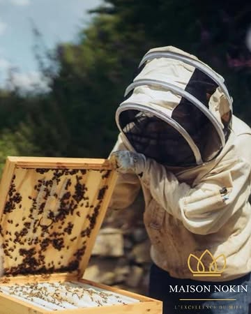 Envie de rejoindre l'aventure ?
La Maison Nokin recherche un(e) commercial(e) indépendant(e). 🍯

Rénumération à la commission + bonus. Horraire et travail en toute autonomie.

Informations et candidature : maison.nokin@gmail.com