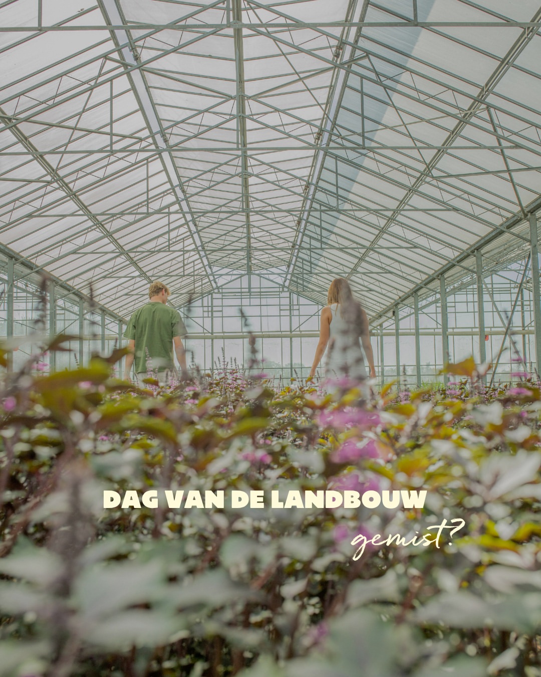 @dagvandelandbouw gemist? Geen zorgen, je kan nog steeds met ons kennismaken. Swipe door deze post om te ontdekken hoe je dit najaar meegeniet:

🌿 Kom langs bij Moes:
11/10: MOES COOKS – Ontdek kruiden in de serre, leer basistechnieken en geniet samen van heerlijke gerechten in onze workshop.
14/11: MOESIC – Intiem liveconcert van Bellis in onze serre, gevolgd door gastronomische hapjes & dranken in ons botanisch atelier.

✨ Haal Moes in huis:
Breng de smaak van onze serre naar je eigen keuken met onze 4 huisgemaakte kruidenblends.

👉 Inschrijven of kruiden bestellen? Klik op de link in onze bio!

#kruidenkwekerijmoes #dagvandelandbouw #kruiden #workshop #gastronomie