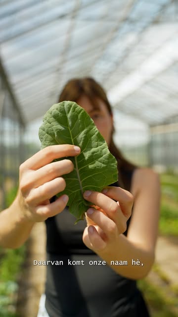 Vandaar komt onze naam dus 🐣 Eeuwige moes is een soort boerenkool die maar blijft gaan. Naast dat “moes” gewoon goed klinkt, is dat voor ons de perfecte samenvatting van wat we doen: sterk zijn, doorzetten en altijd blijven groeien.