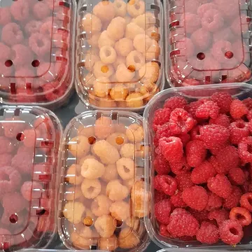 Vanaf nu is de hoevewinkel open op woensdag, vrijdag en zaterdag. Welkom!
