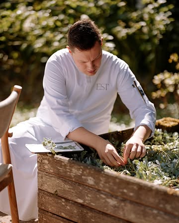 A daily ritual in our garden. Picking fresh herbs.