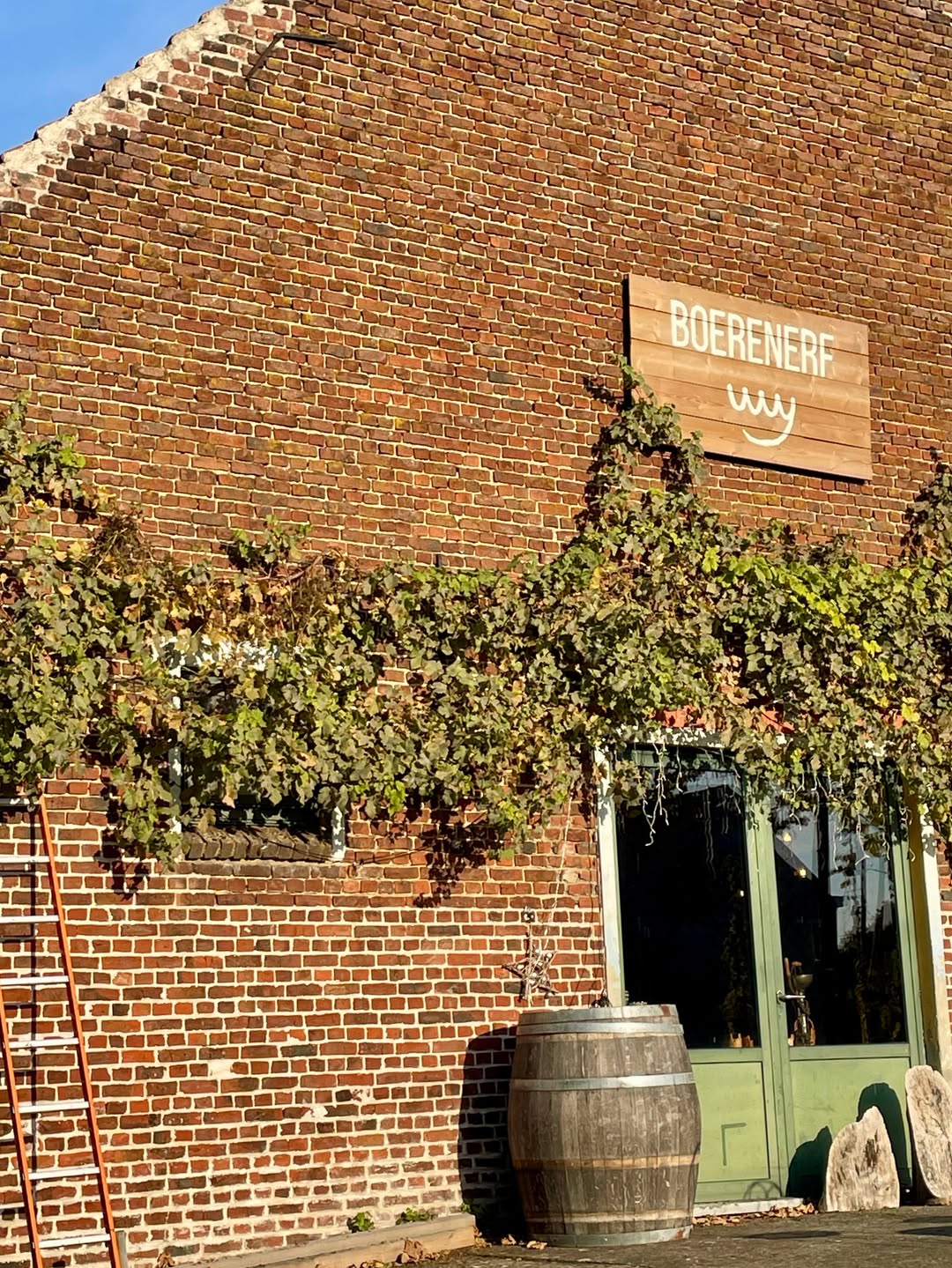 BOERNERF

Des bières en fermentations spontanées, inspirées par le lambic et l’univers du vin.
À venir déguster chez Mauvais Choix.

— Visite de la maison de fermentation Boerenerf à Beersel.

——

Rappelle-toi

Réservations - lien en bio

#mauvaischoix #gueuze #biere