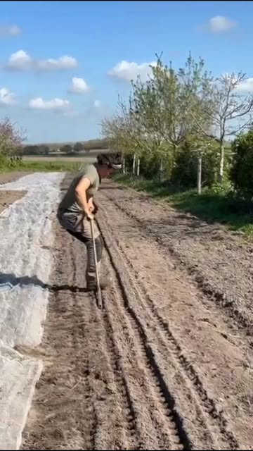 Stampen en gaatjes vullen. Het begin van onze superlekkere pijplookjes!