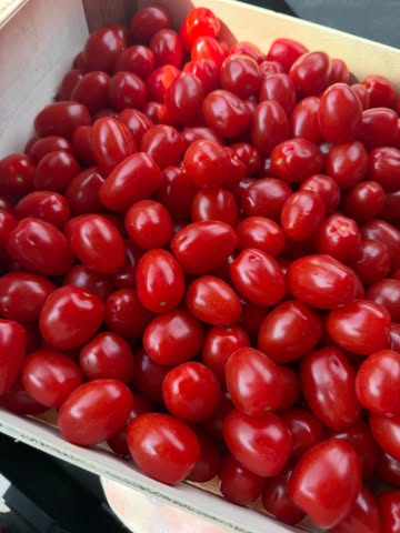 Exciting news we now have only bio organic tomatoes 🍅 in our bowls !!!! #bio #organic #nopesticides thank you @koolmees_bioboerderij for making this possible