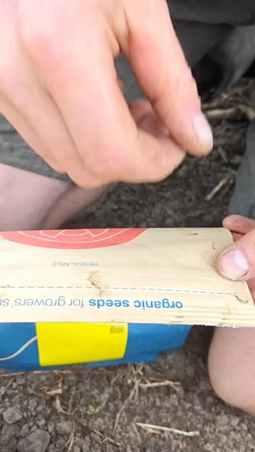Voila, en zo kan ik voor de toekomst weer onthouden wanneer ik m'n boontjes dit jaar zaaide.