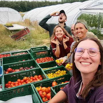 👩🏻‍🌾Une semaine sur le champ 🫜

Récoltes 🍅

Récoltes 🍅

Récoltes 🍅

Récoltes 🍅

Tuteurage des poivrons 🫑

Tuteurage et taillage (tardif 😅) des aubergines 🍆

Tuteurage et taillage (tardif 😅) des aubergines 🍆

Préparation d'une planche à la grelinette pour décompacter le sol

Ensuite on passe la campagnole pour émietter et aérer le sol

Ensuite on passe la campagnole pour émietter et aérer le sol

Premier coup de râteau pour égaliser

Apport de compost pour obtenir un lit de semences idéal

Deuxième coup de râteau pour étaler le compost

Troisième coup de râteau pour égaliser

Semis de carottes sur 6 rangs avec le semoir Earthway 🥕

Semis de carottes sur 6 rangs avec le semoir Earthway 🥕

Pesée des graines pour connaître la quantité semée

Pose d'un voile P30 pour garder notre semis de carottes bien humide et lui donner toutes les chances de lever uniformément 🌱