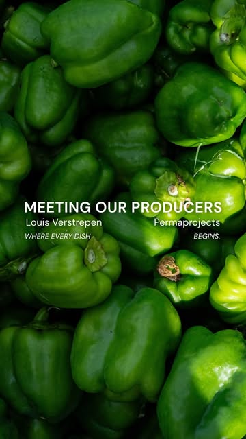 A few weeks ago, I took my team to visit @permaprojectsasbl , where our vegetables are grown just outside Brussels, in La Hulpe 🌱
Supporting local producers like them is something I truly care about. Their vegetables are beautiful, full of flavour, and reflect the quality and seasonality we strive for in our cuisine. Working with ingredients like these makes all the difference.