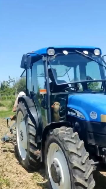 Kerst op de boerderij / Noël à la ferme

Van David (Bioop) kregen we een oude schoffelbalk… en het voelde eerlijk gezegd precies alsof het Kerstmis was David (Bioop) nous a offert une vieille bineuse… et honnêtement, on aurait dit Noël

De juiste tools op het juiste moment blijven toch het mooiste cadeau op de boerderij.
Les bons outils au bon moment restent le plus beau des cadeaux à la ferme.

Dankjewel David! / Merci David!