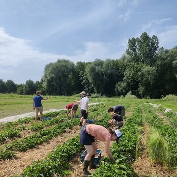 Hulp op het veld / Un coup de main aux champs

Vorige week kwamen de medewerkers van Accenture een dagje meewerken op de boerderij tijdens hun week van de duurzaamheid. Een bedrijf dat zich inzet voor de SDG’s, en dat engagement ook effectief in de praktijk brengt

La semaine dernière, les collaborateurs d’Accenture sont venus nous aider à la ferme lors de leur semaine de la durabilité. Une entreprise engagée dans les SDG, qui met aussi cet engagement en pratique

Net op tijd voor ons, want er moest stevig gewied worden / Et ils sont arrivés juste à temps : il y avait beaucoup de désherbage à faire

Merci voor alle hulp / Merci pour votre aide