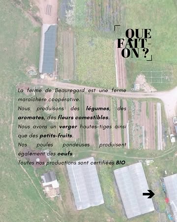 À la @ferme_de_beauregard, on produit des légumes 🍅 , mais aussi des aromates 🌿et des fleurs comestibles 🌼, des fruits 🍏 et petits fruits 🍓 ainsi que des œufs 🥚, le tout certifié biologique.
On vous invite à retrouver nos produits notamment en magasin @auvertg_ Ou sublimés par nos chefs préférés 😋@cabale.liege @cassartsebastian @utopia.restau @heliportbrasserie @jambonviolon @sonicerestaurant @sapiens.nf @lacantinettaliege @ventrecontent @kiosq_ @merry.restaurant @comoencasaliege @chezmemeres @lessaisonsdemarie @imma_miam