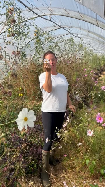 Iedereen welkom op onze farmers market op 20 september bij ons in 't Verschil voor toffe workshops, verse groenten en diverse animo 🥂👩🏻‍🌾🥬🌶️

#permacultuur #tverschil #farmersmarket #verschilfarmtotable