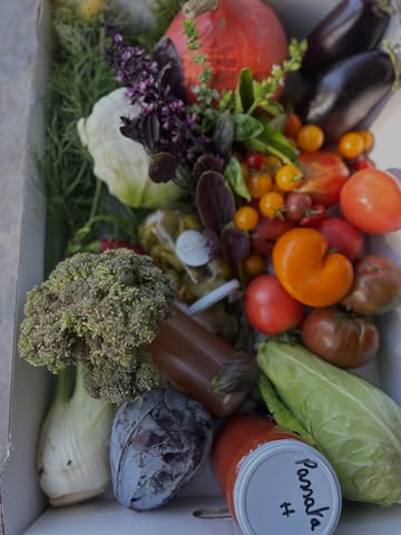 Geef een box vol gezonde dingen ....

Ideaal als je naar vrienden op bezoek gaat.

Een box vol smaak.
Met liefde geteeld en gemaakt.

#kooplokaal #permaculture #growyourfood #farmtotable #farmlife