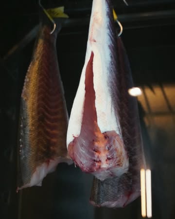 vanaf 1/07
enkele veranderingen in la Pompette

lunch
donderdag en zaterdag
een kleine greep uit de menu ‘ut de zee & van’t veld’ in de vorm van een voor- en hoofdgerecht.

diner
woensdag tot en met zaterdag
menu ‘ut de zee & van’t veld’
