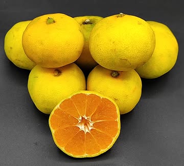 Satsuma Goku Wase