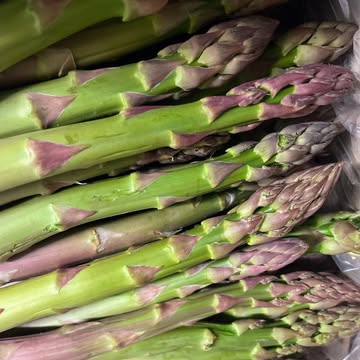 💛 Coeur de saison pour un produit qu'on adore: l'asperge! 💛
Et cette année encore, vous êtes nombreux — chefs comme particuliers — à nous faire confiance sur cette sélection.

La collaboration avec @stephanelonglune a commencé autour… d’une poire Comice, pendant le marché de Noël 🍐❄️ Une rencontre simple, une chouette discussion, et depuis, un beau partenariat.
⁠
Stéphane, c’est un maraîcher rare : 5 générations de passion, une ferme à Jurbise, un engagement fort pour la biodynamie, et une authenticité qui se ressent dans ses asperges.⁠
⁠⁠
Elles poussent lentement, sur un sol complexe mais unique, et chacune est récoltée à la main.⁠
⁠
Une histoire de goût, de saison, et de confiance, à taille humaine que nous sommes fières de pouvoirs proposer aux belles tables de l’horeca et dans vos assiettes à la maison. 💛⁠

__
💛 Hoogseizoen voor een groente waar we dol op zijn: de asperge! 💛
En ook dit jaar zijn jullie weer talrijk – zowel chefs als particulieren – die ons vertrouwen voor deze selectie.

De samenwerking met @stephanelonglune begon... rond een Comice-peer, op de kerstmarkt 🍐❄️ Een eenvoudige ontmoeting, en sindsdien een mooi gedeeld avontuur.⁠

Stéphane is een zeldzame teler: vijf generaties passie, een boerderij in Jurbise, een sterke inzet voor biodynamie, en een oprechtheid die je proeft in zijn asperges.⁠

Ze groeien traag, op een complexe maar unieke bodem, en worden stuk voor stuk met de hand geoogst.⁠

Bij CHAMP zijn we trots dat we deze schatten mogen aanbieden – zowel op de grote tafels van de horeca als in jullie borden thuis.

Een verhaal van smaak, seizoen en vertrouwen – op mensenmaat 💛⁠
⁠
#aspergesbelges #produitsdesaison #biodynamie #jurbise #champ #terroir #locavore #asperges #horticulture #chefsbelges #belgiangrowers #saisonniers #stéphanelonglune #horticulturebelge