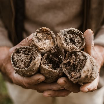 Wat is dat nu met biodynamische boeren en preparaten? Hoe werkt het en waarom gebruiken we ze?
Je leert het op onze opendeurdag van 12/09 in de workshop preparaten. Maak zelf preparaten samen met ervaren biodynamische boeren Antoine en Stefan.
Al doende leert men!
Schrijf je in via onze website voor vrijdag:
👉 https://www.kollebloem.be/opendeurdag-2026